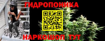 круглые Гусев