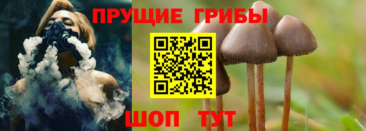 Элиста  Галлюциногенные грибы Cubensis  Вход с VPN 